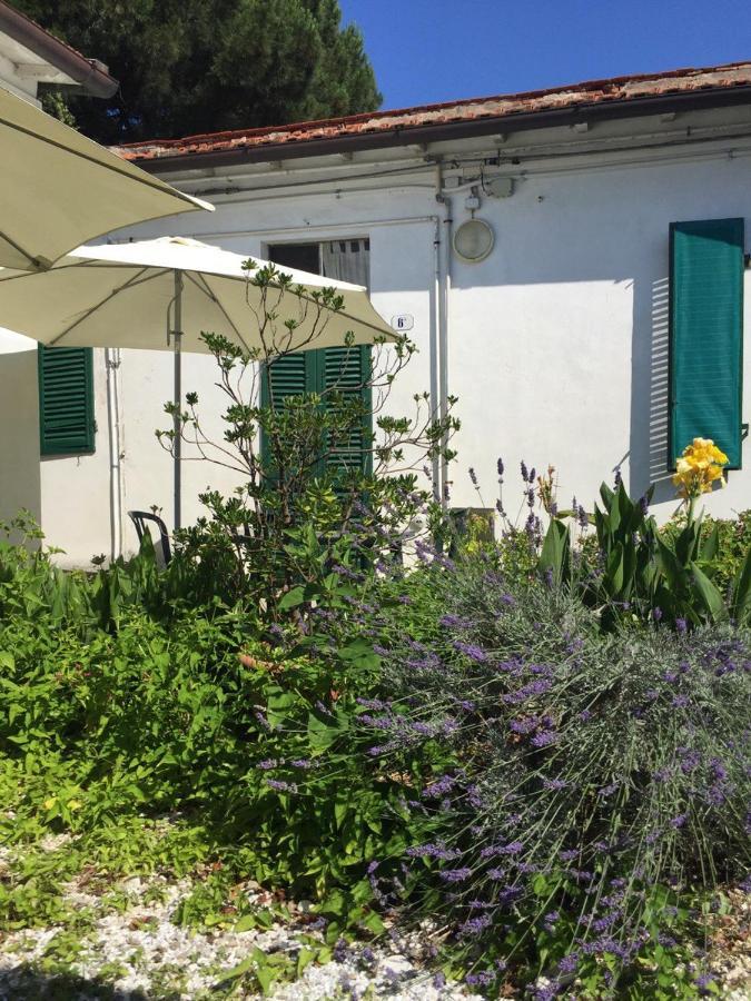 Appartamenti Gloria Marina Di Pisa Exteriör bild